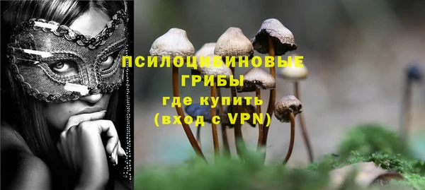 герыч Гусь-Хрустальный