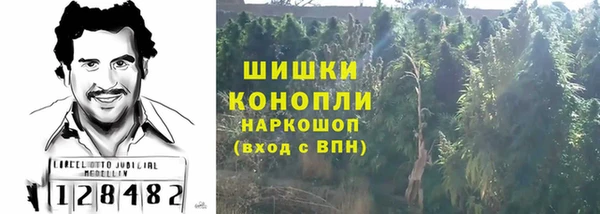 дживик Гусев