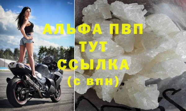 дживик Гусев