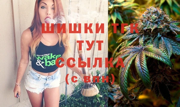 герыч Гусь-Хрустальный