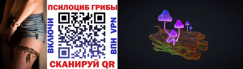 Купить закладки  Курган  Галлюциногенные грибы прущие грибы 